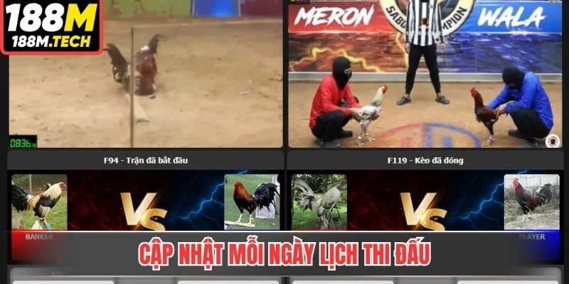 Cập nhật mỗi ngày lịch thi đấu