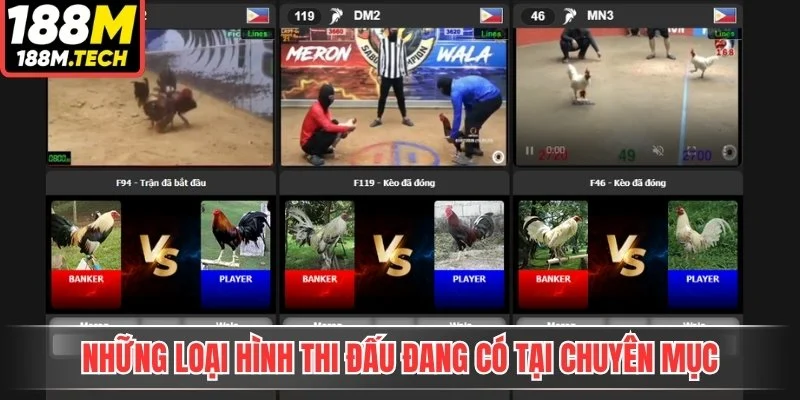 Những loại hình thi đấu đang có tại chuyên mục