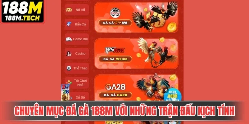 Chuyên mục đá gà 188m với những trận đấu kịch tính